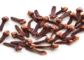 Karanfil Kurusu Kullanımı ve Faydaları Nelerdir?